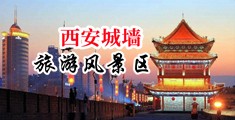男人操女人逼逼的免费小视频中国陕西-西安城墙旅游风景区