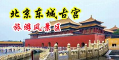 美女的逼露出来操自慰中国北京-东城古宫旅游风景区